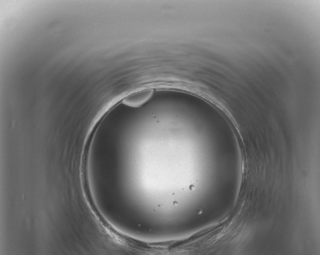 X0000054421533200508051753