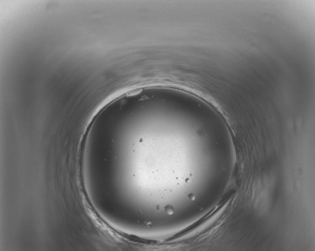 X0000054421534200508051753