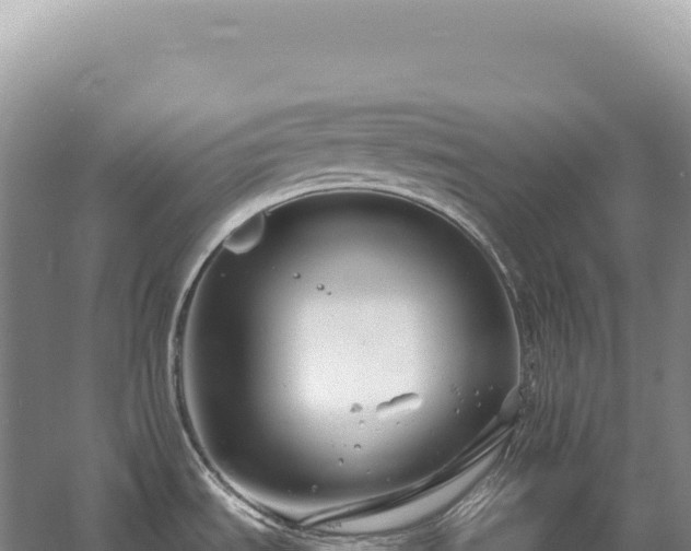 X0000054421535200508051753