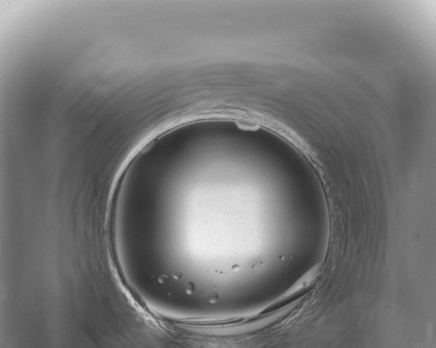 X0000054421536200508051753