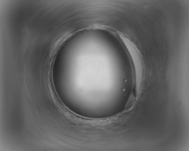 X0000054420001200508121803