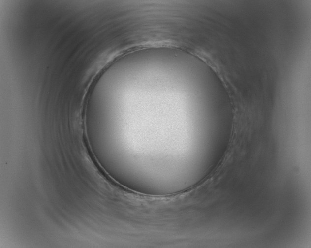 X0000054420002200508121803