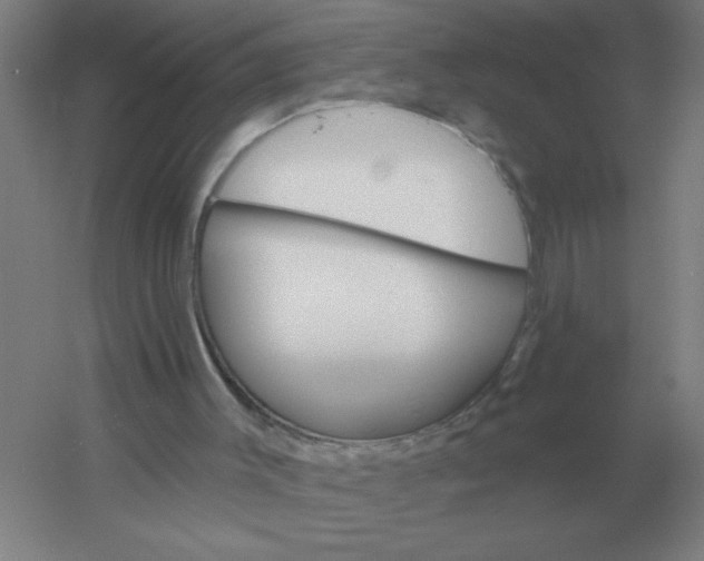X0000054420003200508121803