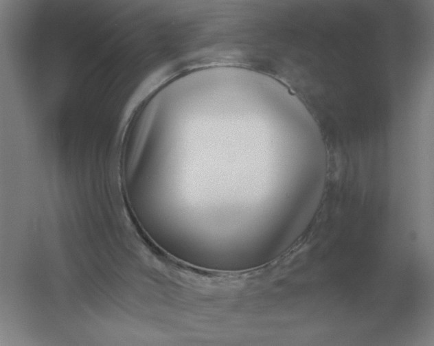 X0000054420004200508121803