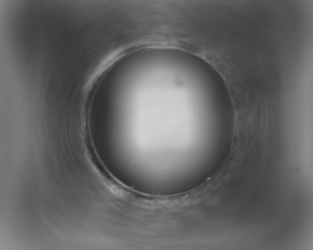 X0000054420005200508121803