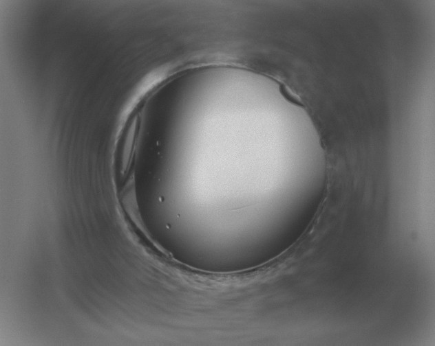 X0000054420006200508121803