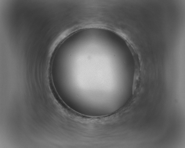 X0000054420007200508121803