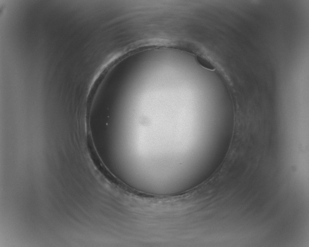 X0000054420011200508121803