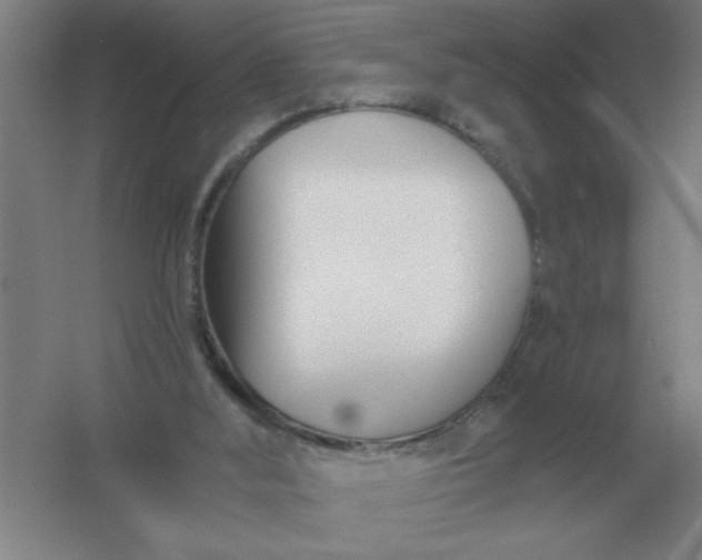 X0000054420012200508121803