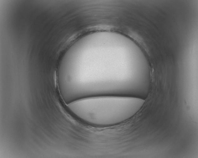 X0000054420013200508121803