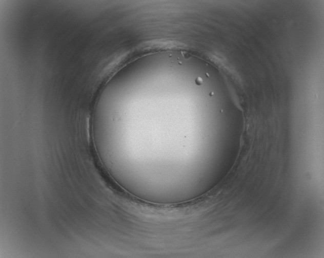 X0000054420014200508121803