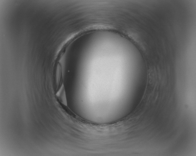 X0000054420015200508121803