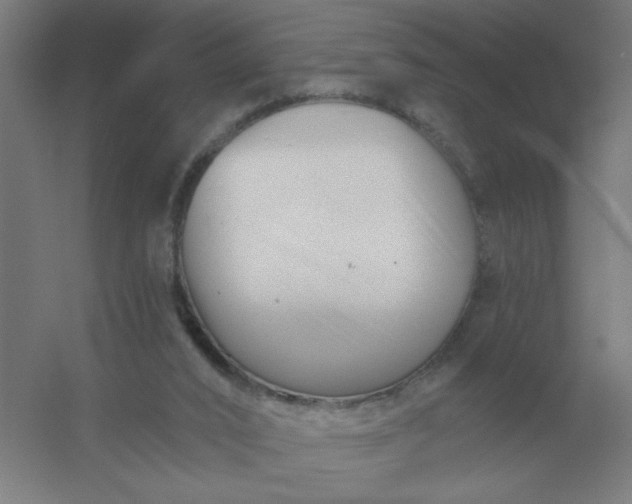 X0000054420016200508121803