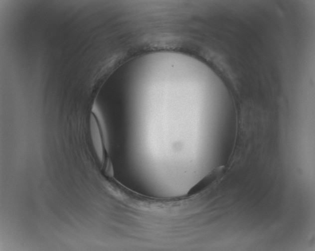 X0000054420017200508121803
