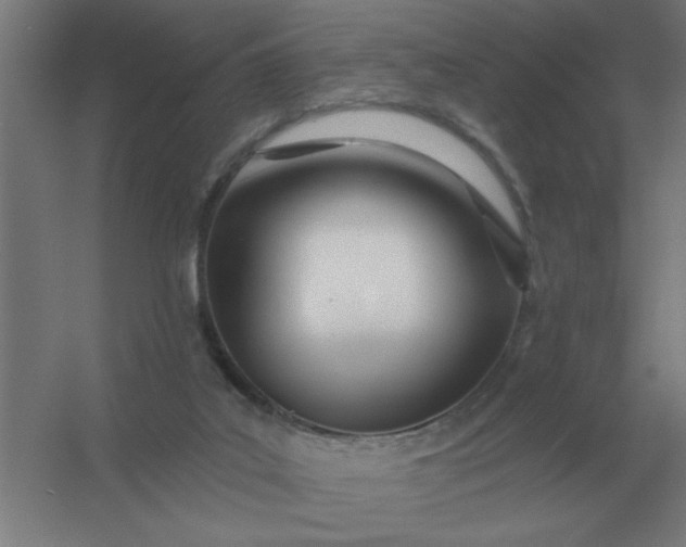 X0000054420019200508121803
