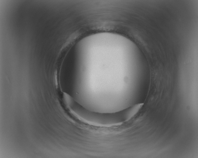 X0000054420020200508121803