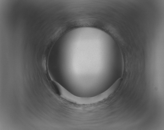 X0000054420021200508121803