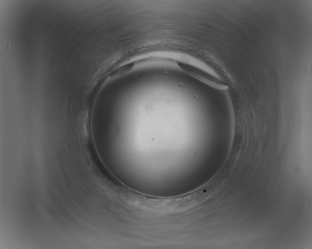 X0000054420023200508121803
