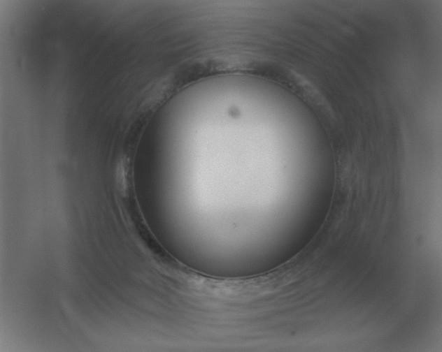 X0000054420026200508121803