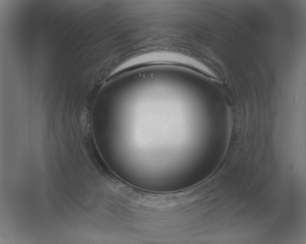 X0000054420029200508121803