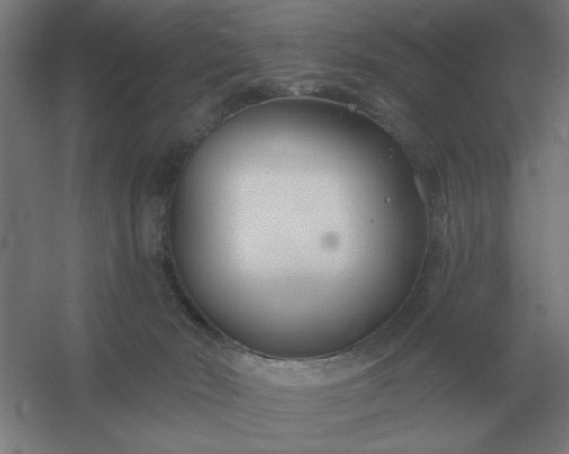 X0000054420030200508121803