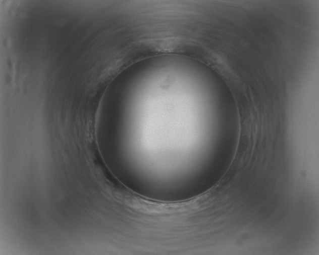 X0000054420031200508121803
