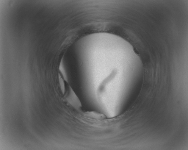 X0000054420035200508121803