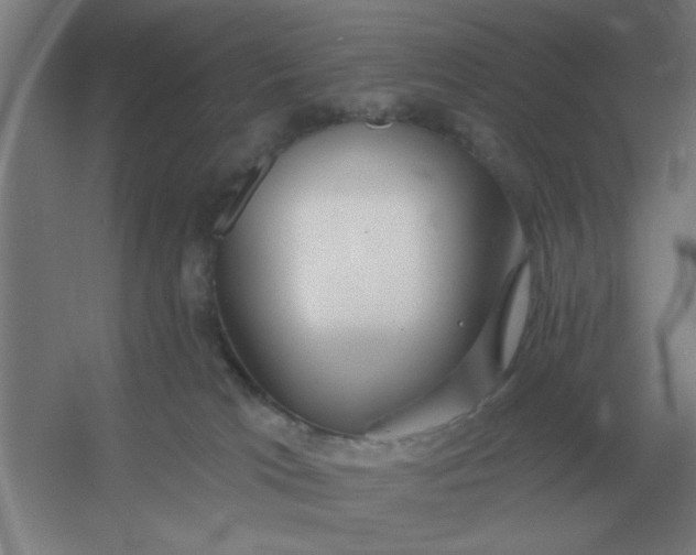 X0000054420037200508121803