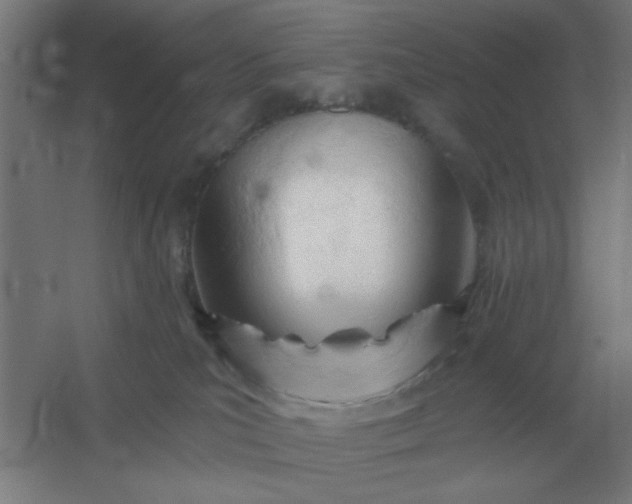 X0000054420039200508121803