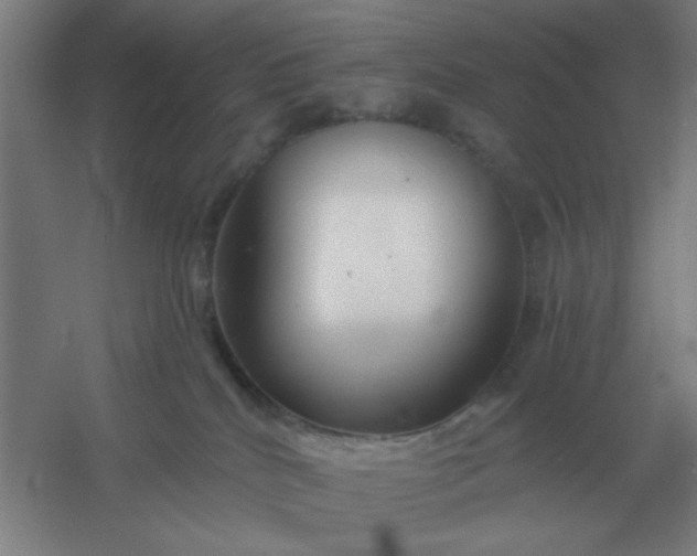 X0000054420040200508121803