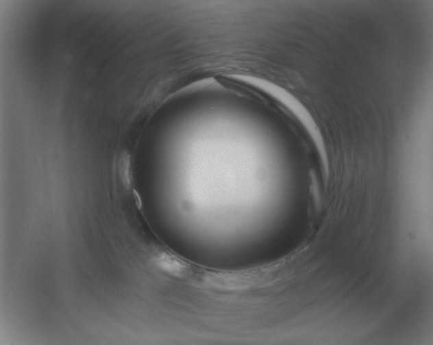 X0000054420041200508121803