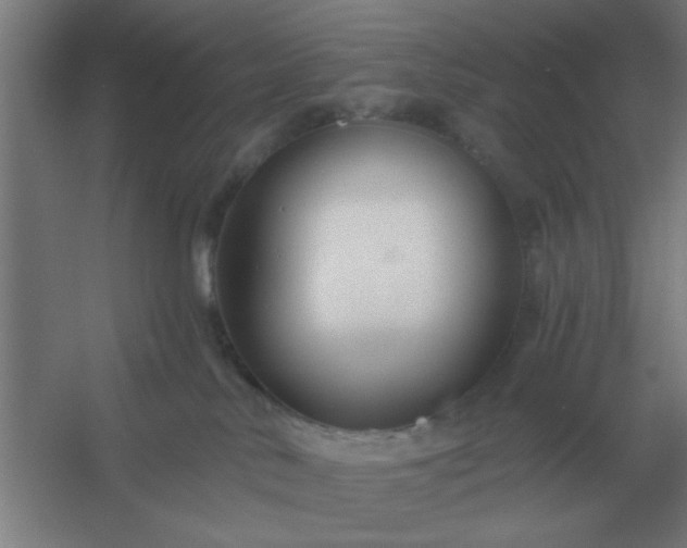X0000054420042200508121803
