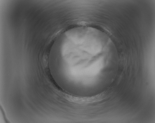 X0000054420043200508121803