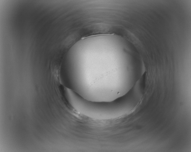 X0000054420045200508121803