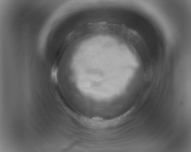 X0000054420047200508121803