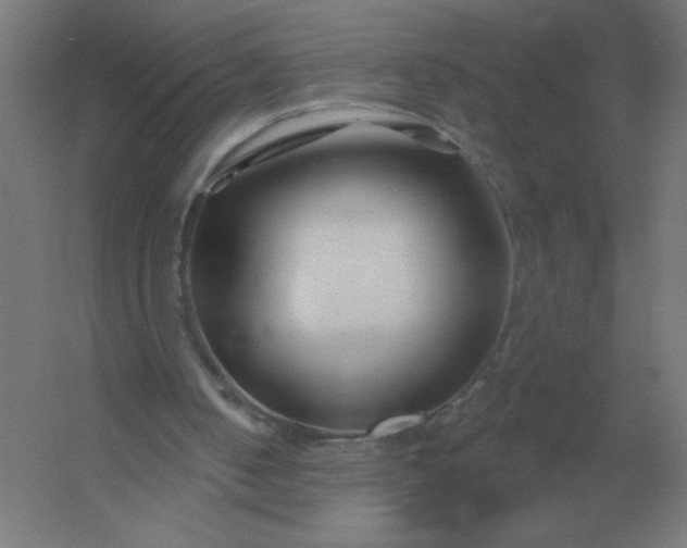 X0000054420050200508121802