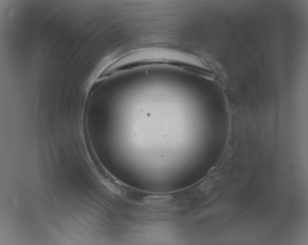 X0000054420051200508121802
