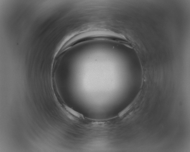 X0000054420052200508121802