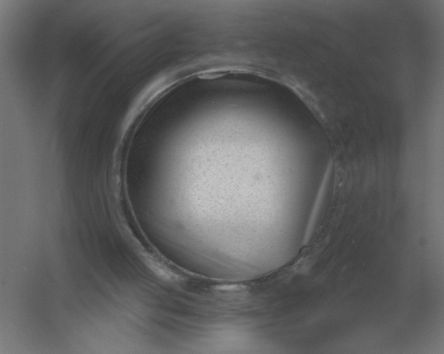 X0000054420053200508121802