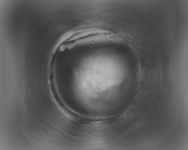 X0000054420054200508121802