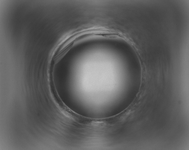 X0000054420055200508121802