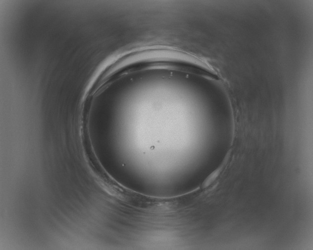 X0000054420056200508121802
