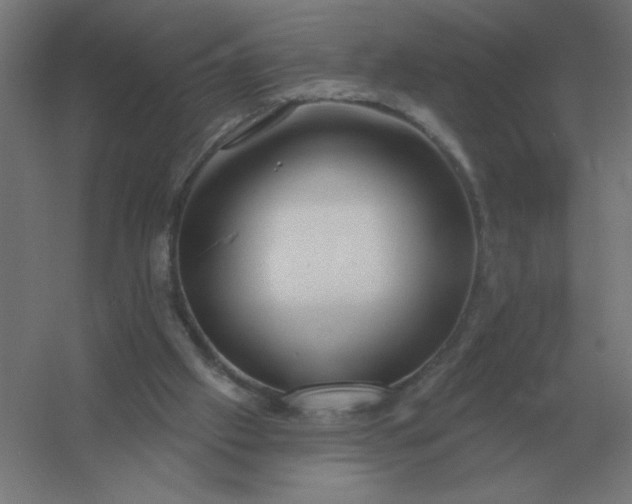X0000054420057200508121802