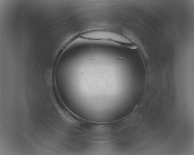 X0000054420058200508121802