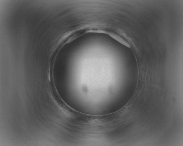 X0000054420062200508121802