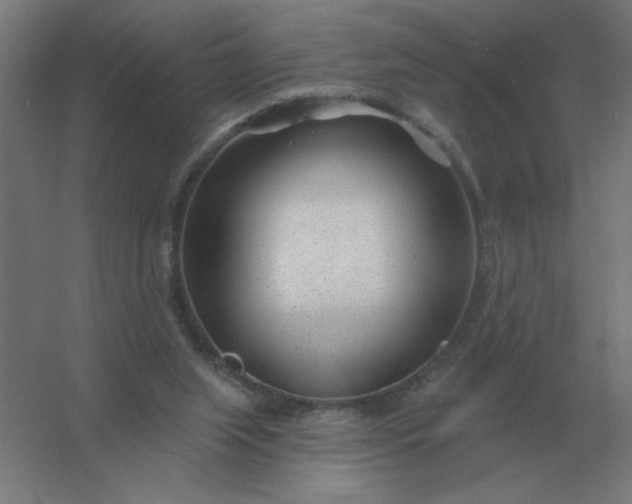 X0000054420063200508121802