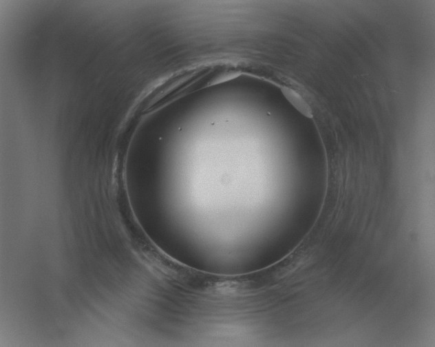 X0000054420064200508121802
