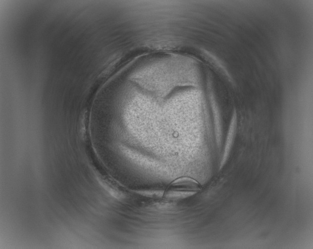 X0000054420065200508121802