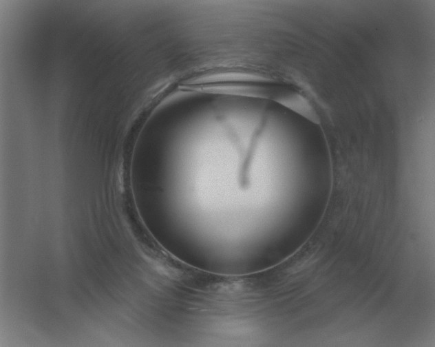 X0000054420068200508121802