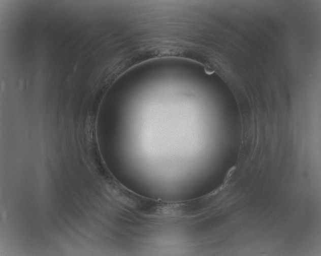 X0000054420078200508121802